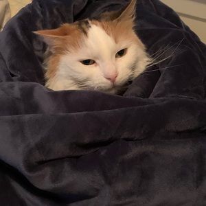 Meet your Posher, Maya